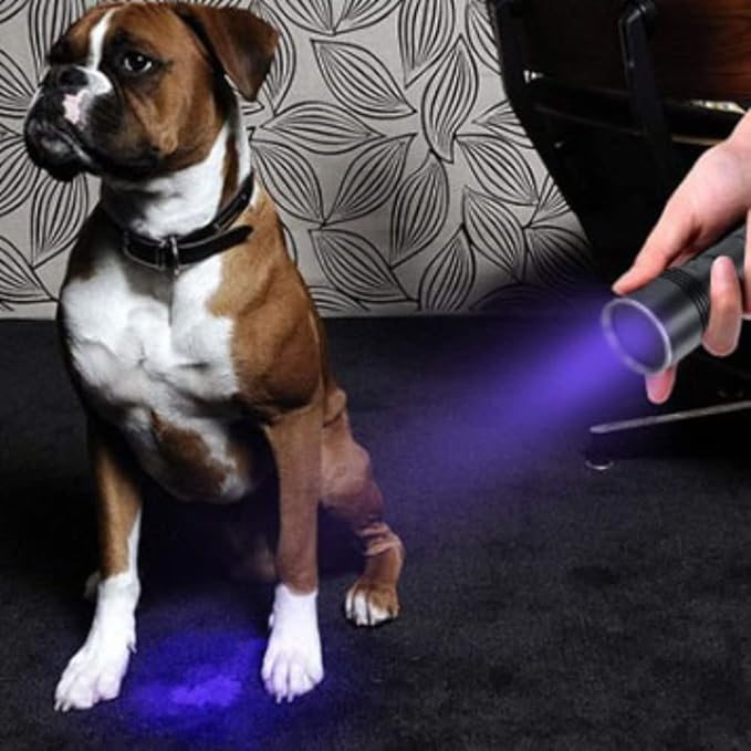 LED 365nm Pro Flashlight Blacklight, Portable Rechargeable Black Light with 4 Best LEDs for Pet Urine Detection, Dry Stains