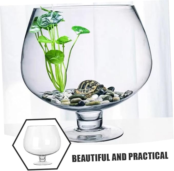 Clear Glass Fish Bowl Vase Capacity Transparent Desktop Aquarium for Fish and Hydroponic Plants Centerpiece for Home Office Decor