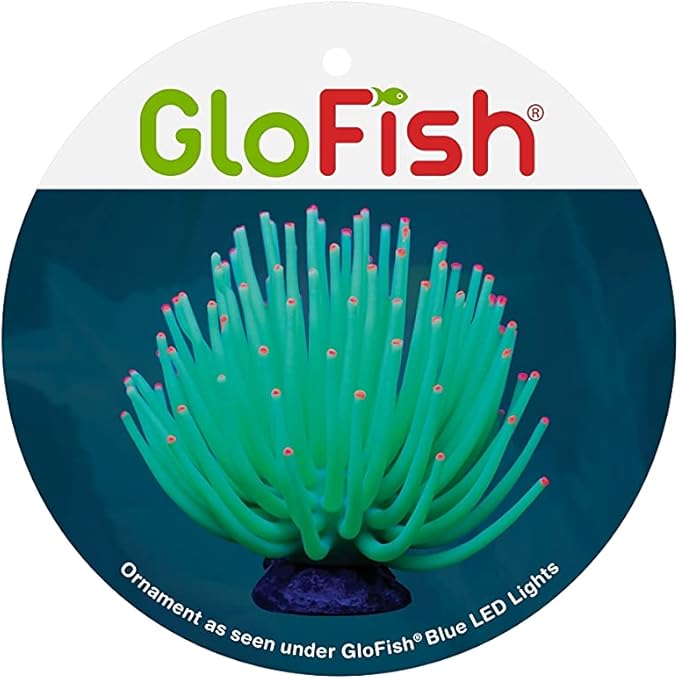 GloFish Anemone Ornament, Detailed Aquarium Ornament, Large Green, Creates A Glowing Effect (Pack of 6)
