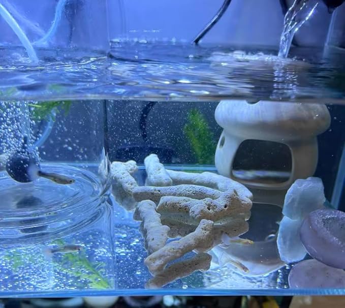 Crushed Coral Filter for Aquarium,Fish Tank Crushed Coral for Freshwater Aquarium Ph Aquarium Bio Filter Media Bag Reusable Aquarium Filter