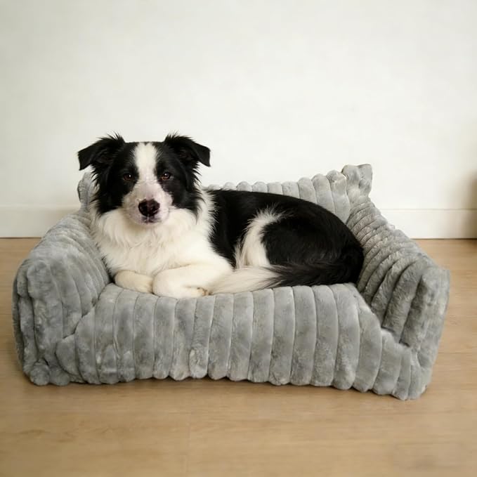 Cat Couch for Pets - Cute Cat Beds for Indoor Cats with Removable Cover, Washable Soft Corduroy Plush, Fluffy Supportive Pet Sofa Chair for Dog, 36 inch, Grey L