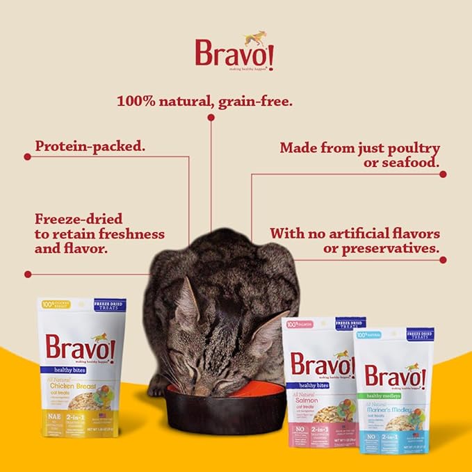 Bravo! Healthy Bites Single Ingredient Freeze Dried Raw Cat Treats, Salmon, 1 Ounce, High Protein, Grain Free, Gluten Free