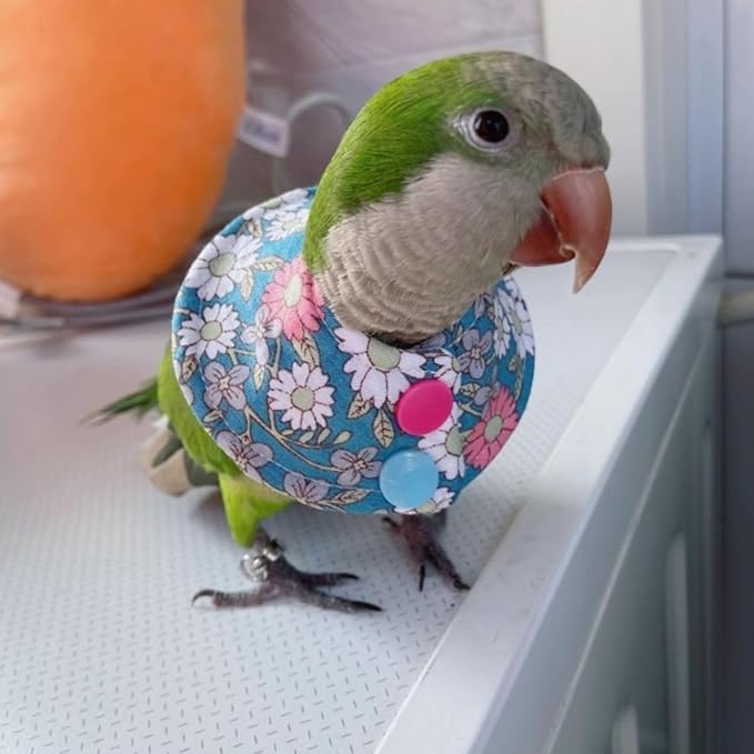 Bird Collar - Anti-Bite Elizabethan Recovery Cone Feather Plucking Protector Skin-Friendly Neckwear for Parakeets Conures Cockatiels Lovebirds Budgies Cockatoos African Grey Random Color (L)
