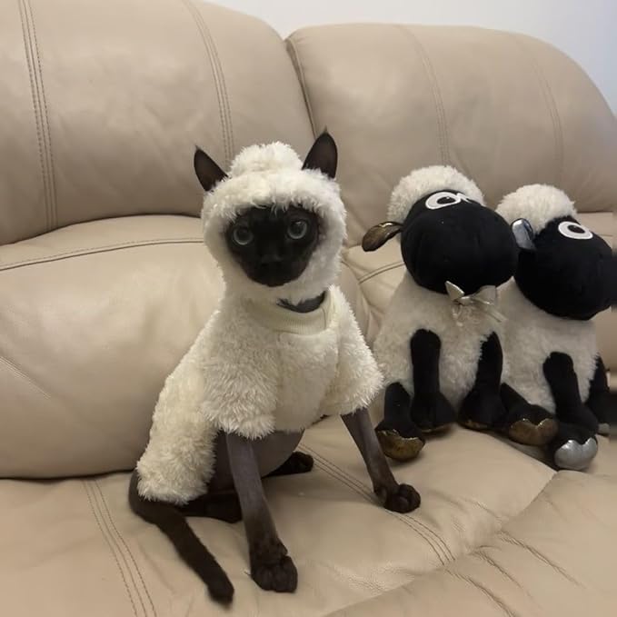 Warm Fleece Lined Winter Clothing for Sphynx & Devon Rex Cats | Soft Faux Lamb Wool | Cozy and Comfortable (Sheep Costume,S About 1.5-2kg/3.3-4.4pounds)