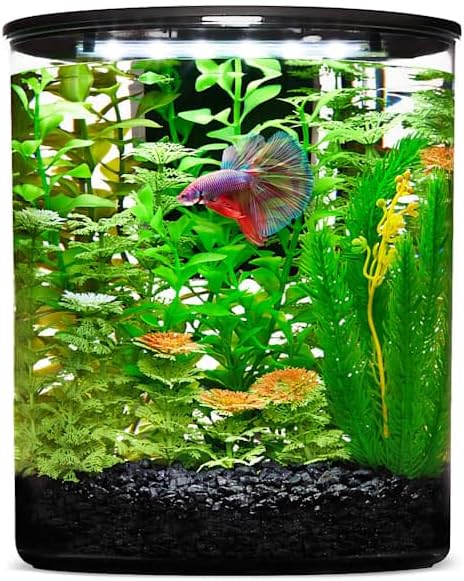 imagitarium Plastic Cylinder Betta Aquarium 2.5 Gallon
