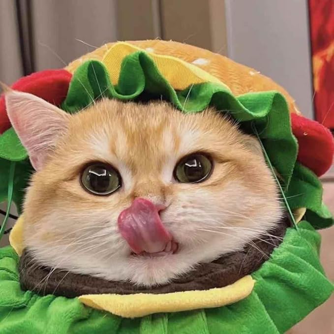 Soft Hamburger Hat Recovery Cone for Cats & Dogs - Funny Pet Collar Halloween Costume Hat for Small Pets