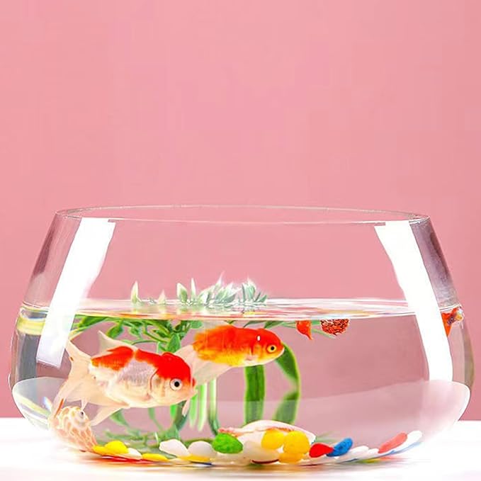 Milisten Thick Glass Turtle Bowl Aquarium Tank 20l Large Round Fish Bowl for Desktop Aquatic Landscaping and Hydroponic Plant Vase