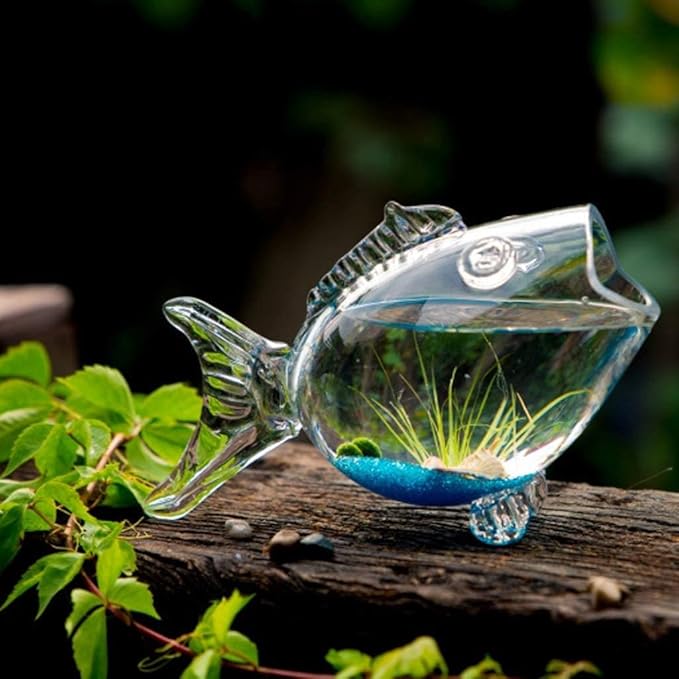 Fish Bowls Creative Fish Tank Aquarium Fish-Shaped Glass Fish Tank Goldfish Tank Living Room Turtle Tank Fish & Aquariums-M, Medium