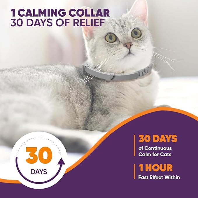 Calming Collars for Cats with Pheromones, Anxiety and Stress Relief 6 Pack Adjustable and Waterproof. Drug Free Solution Helps Reduce Spraying,Aggression and Nervous Behavior