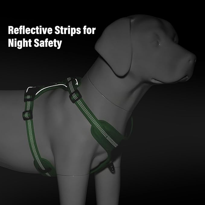 Plutus Pet No Pull Dog Harness, Release at Neck, Soft Padded, Reflective Adjustable Dog Vest Harness for Small, Medium, Large Dogs(Green, XL)