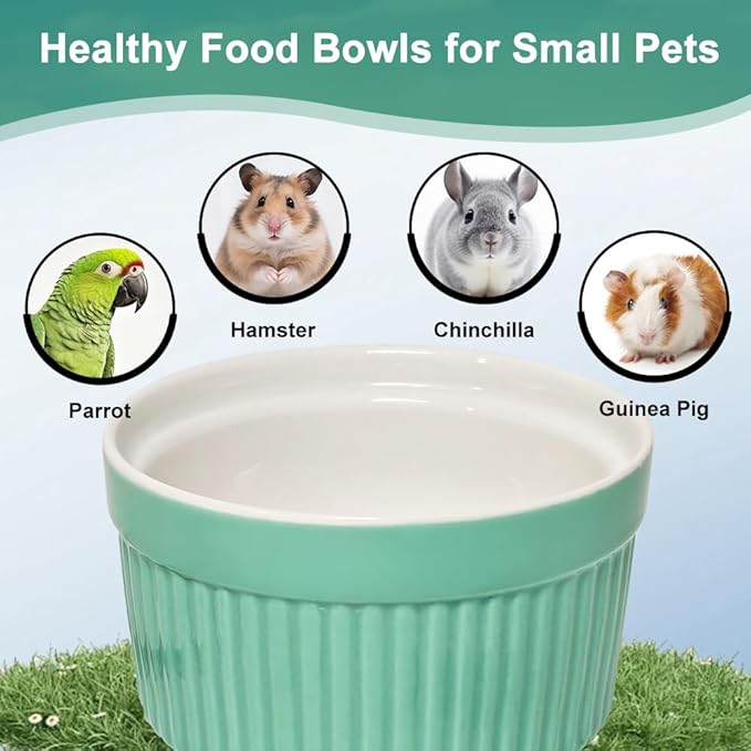 Bird Feeder for Cage Bowl, Ceramic Parrot Feeding Cups - Automatic Easy to Clean & Install, Dishwasher Safe Small Animal Food Water Bird Dish for Parrots, Cockatiels, Canaries