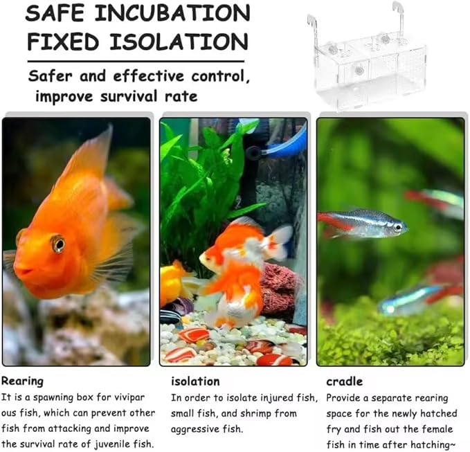 Aquarium Isolation Box Transparent Acrylic Fish Tank Small Fry Breeding Box Single Grid Double Grid Aquarium Supplies