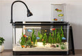 4 Gallon Fish Tank, Small Tabletop Fish Tank, Aquarium with Negative Pressure Tank, Fish Aquarium with Spotlight and Water Pump, Betta Fish Tank Starter Set(Black,21.7x11.8x16.6in)