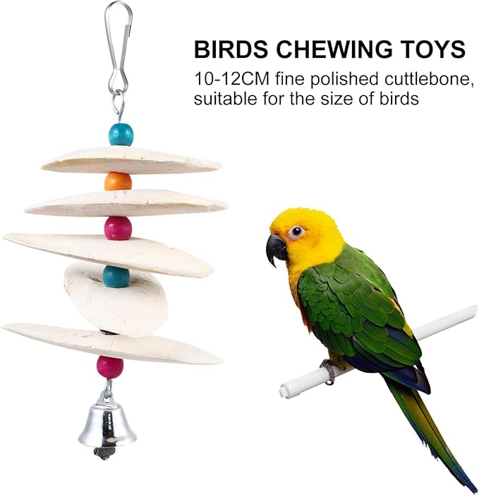 Scicalife Extra Large Cuttlebone Toy for Birds Calcium Supplement Parrot Cuddle Bone Chew Toy Natural Beak Molar for Macaw and Large Birds 6.7X2.75X1.77 Inches