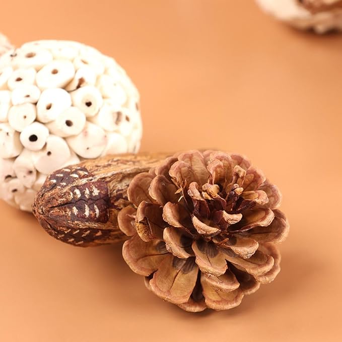 Bird Chew Toy for Pet Bird Parrot Sola Ball Natural Nuts Pinecone Chewing Toy for Small Parakeet Cockatiel Conures Finch Budgie (S)
