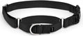 PetSafe Martingale Collar with Quick-Snap Buckle - Adjustable No-Slip Quick Release Dog Collar - Everyday Wear No-Pull Training Aid - 1" Wide - Large - Black