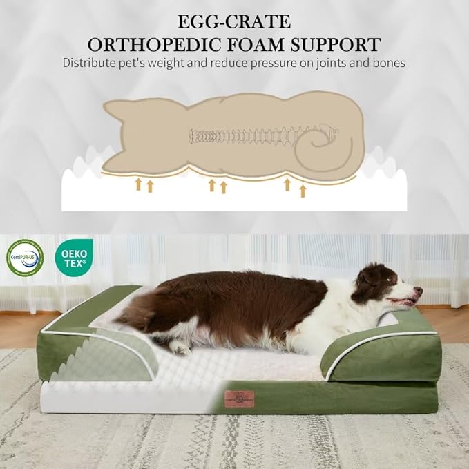 Comfort Expression Orthopedic Dog Bed for Large Dogs 36x27 Inch, Waterproof Supportive Egg Crate Foam Large Pet Bed with Removable Bolster, Dog Couch with Washable Cover & Non-Slip Bottom, Light Green