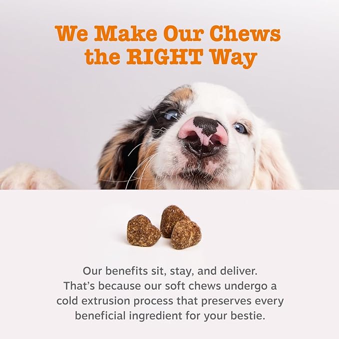 Zesty Paws Probiotics for Dogs - Digestive Enzymes for Gut Flora, Digestive Health, Diarrhea & Bowel Support - Clinically Studied DE111 - Dog Supplement Soft Chew for Pet Immune System - Adv, 90ct