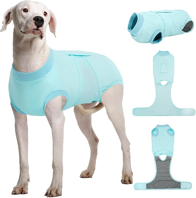 Kuoser Dog Recovery Suit for Dogs After Surgery, Soft Dog Surgical Onesie for Female Male Dogs Spay Neuter, Anti-Licking Pet Bodysuit for Abdominal Wounds, Skin Disease, E-Collar Alternative, Blue 2XL