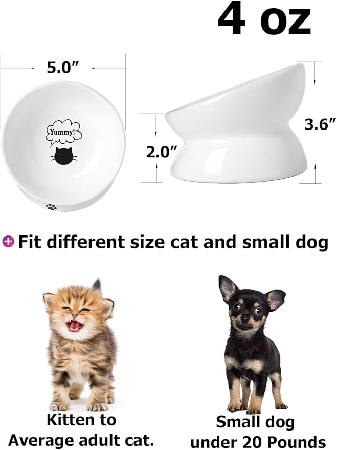 Y YHY Cat Bowl Anti Vomiting, Raised Food Bowls, Tilted Elevated Bowl, Ceramic Pet Food Bowl for Flat Faced Cats, Small Dogs, Protect Pet's Spine, Dishwasher Safe (5 Inches, White)