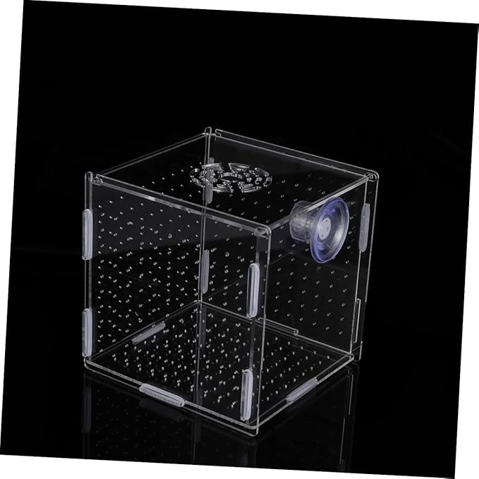 Modern Fish Tank Isolation Box Acrylic Fish Breeding Tank for Betta Guppy Suction Cups and Divider
