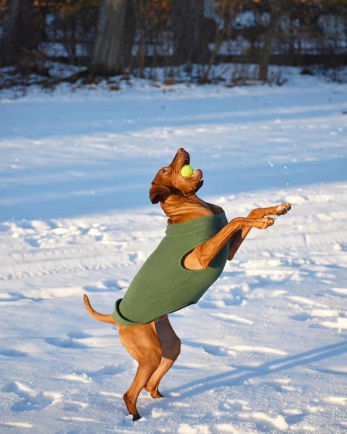 Gooby Stretch Fleece Vest Dog Sweater - Sand, 3X-Large - Warm Pullover Super Stretchy Fleece Dog Jacket for Small to Large Dogs