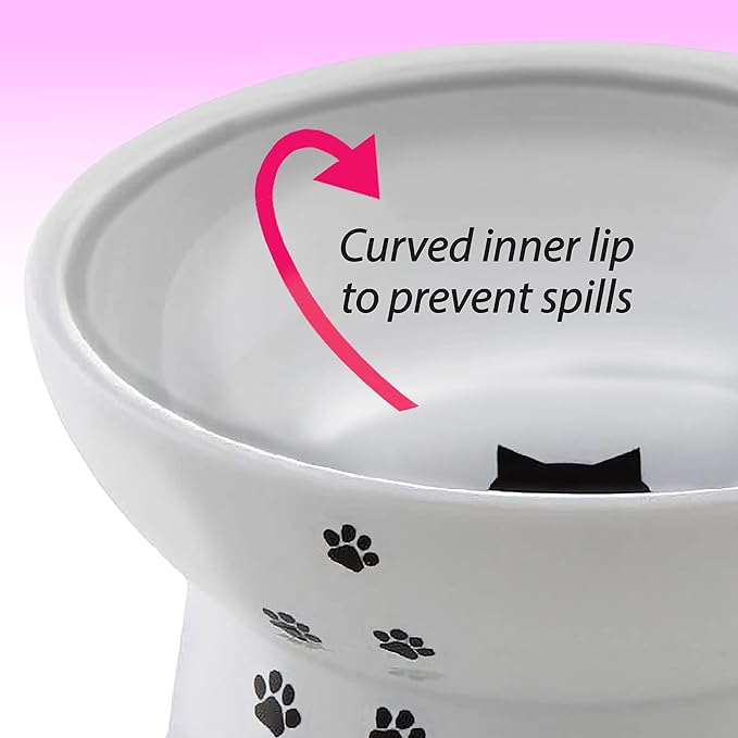Necoichi Elevated Cat Food & Water Bowl – Ceramic Raised Cat Bowls for Whisker & Neck Fatigue, Dishwasher Microwave Safe – Anti Vomiting Ergonomic Design, Pet Bowls for Food & Water (Cats, Regular)