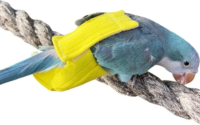 Parrot Bird Diapers, Birds Flight Suit, Parrot Clothes, Pet Animal Costumes, Bird Clothes, Cockatiel Bird Diaper, Pet Bird Diapers, Parrot Flight Suit, Bird Parrot Clothes (Yellow, 2XL)