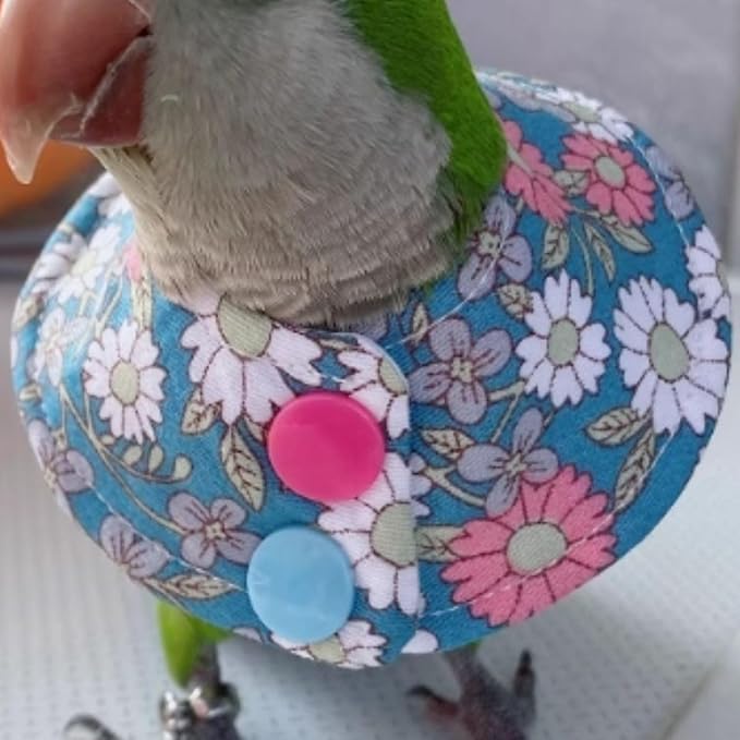 Bird Collar - Anti-Bite Elizabethan Recovery Cone Feather Plucking Protector Skin-Friendly Neckwear for Parakeets Conures Cockatiels Lovebirds Budgies Cockatoos African Grey Random Color (L)