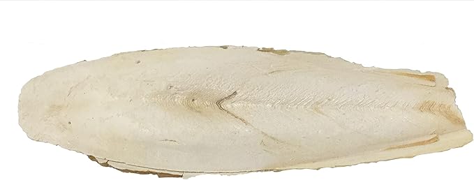 A&E Cage Cuttlebone 6-8" Pieces 5lb Cuttle Fish Bone