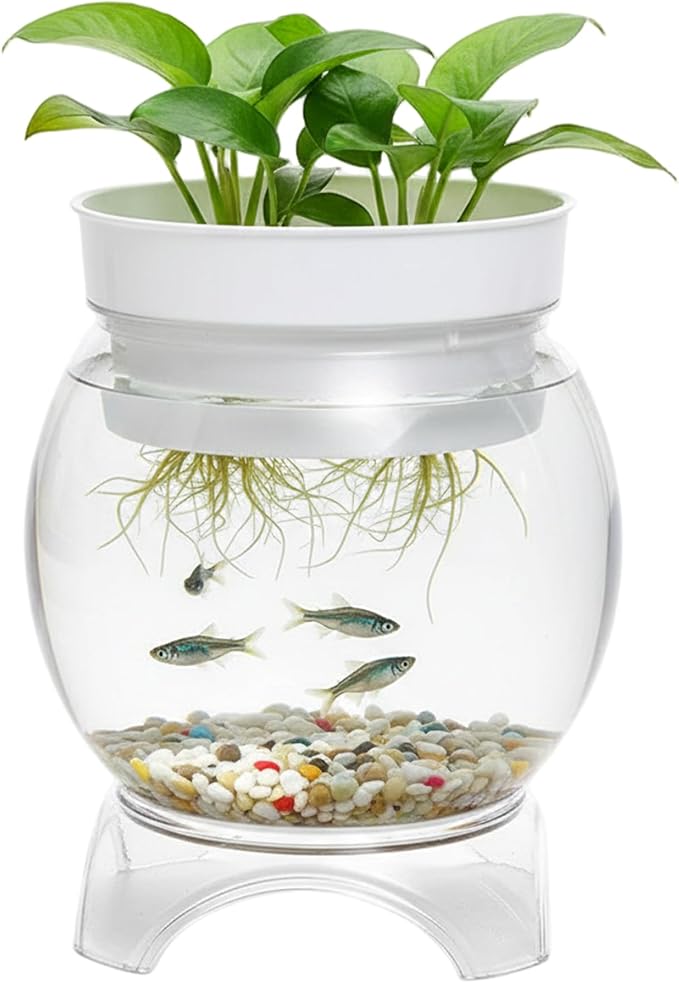 Aquaponic Fish Tank, 3-in-1 Clear Plastic Fish Bowl with Stand & Planter Healthy 5 Gallon Fishtank for Aquarium Plants, L Aquaponic Tank, Hydroponic, Small, Fishtank, Fis