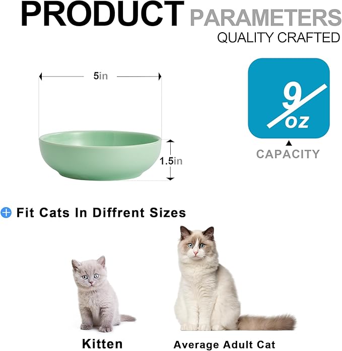 Howise 5.3 in Ceramic Cat Bowls Set, Shallow Food Bowl for Small Pets, Dish for Food and Water, Green