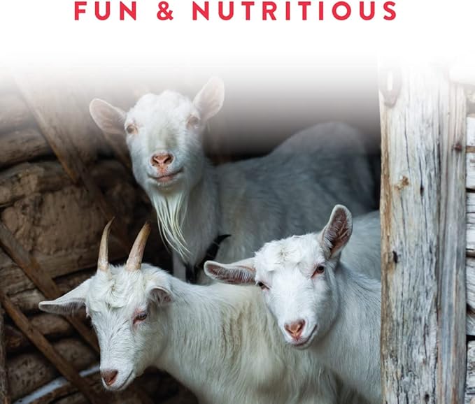 Manna Pro Apple Probiotic Goat Treat, Daily Goat Treats, Treat for Goats and Sheep, Easy to Feed, Enriched with Vitamins, Minerals and Essential Probiotics, Pack of 6, 30lbs