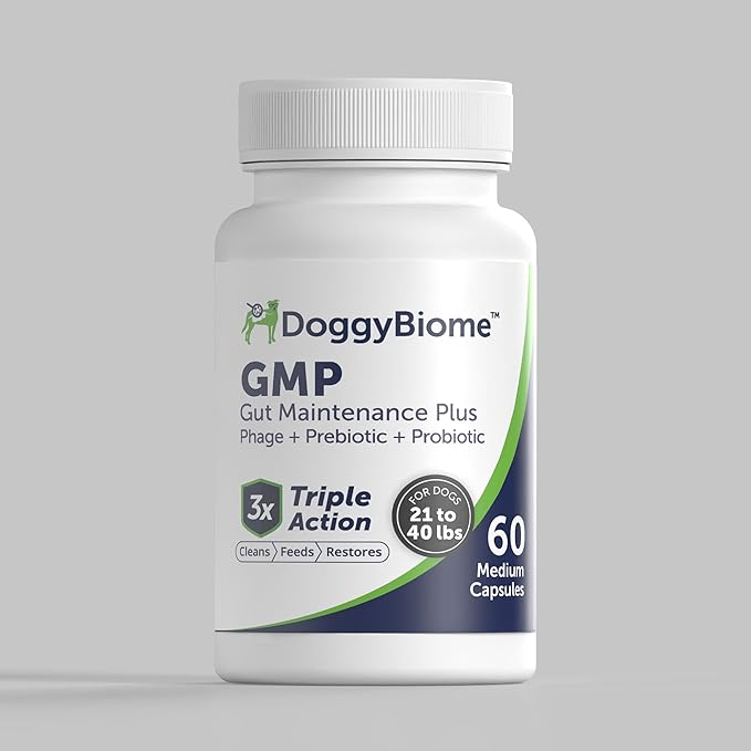 Animal Biome Gut Maintain Probiotics and Prebiotics for Dogs - Reduce Diarrhea Flareups - for Medium Dogs (60 Capsules)
