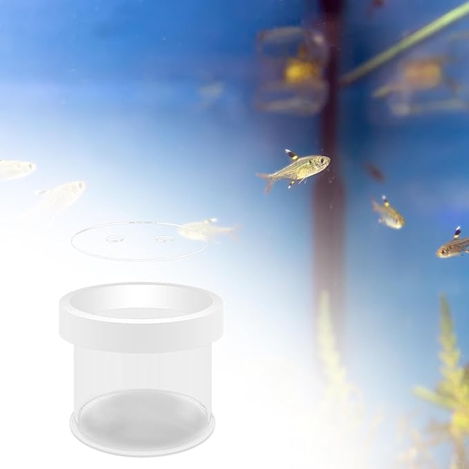 Fish Breeder Box Fish Tank Hatchery Floating Acrylic Transparent Fine Mesh Bottom Isolation Box Incubator for Baby Fish Betta, 8cmx10cm
