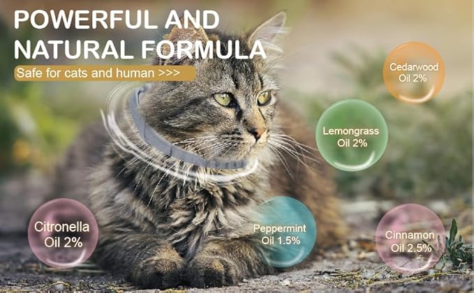 Flea and Tick Collar for Cats &Kitten, Natural Essential Oil Flea and Tick Prevention for Cats, 15 Inch, 8 Month Protection, 2 Pack