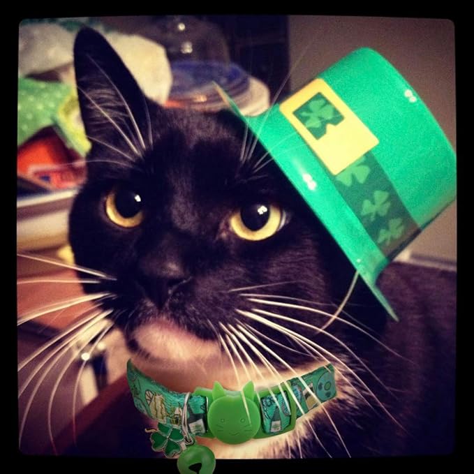BoomBone St Patricks Day Cat Collar with Bell and Shamrocks Charm,Breakaway Small Dog Collar
