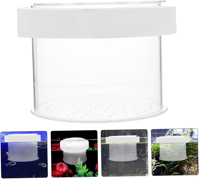 BESPORTBLE Fish Breeding Box Acrylic Isolation Tank for Aquariums Floating Fish Box Transparent Cover Increases Survival Rate and Hatching