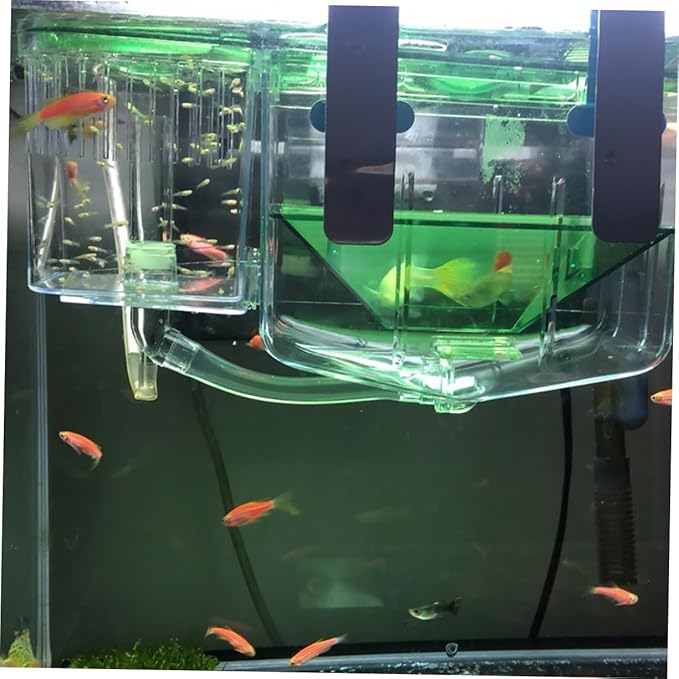 VICASKY Self-Guided Isolated Breeding Tank for Fish Incubator Box to Protect Fry and Pregnant Fish for Aquariums and Home Tanks
