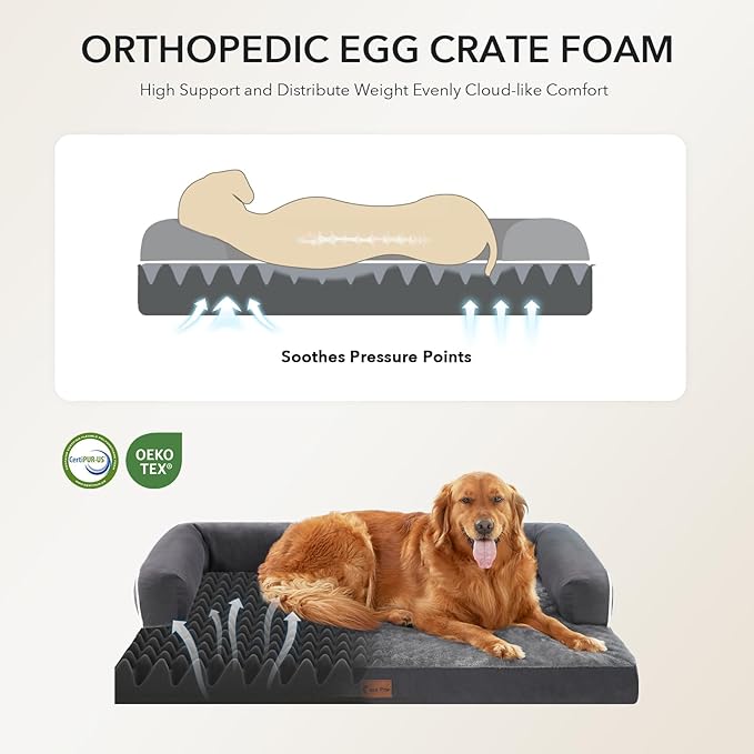 Orthopedic Dog Beds for Large Sized Dogs, Waterproof Egg Crate Foam Medium Dog Couch Beds for Crate 35x22Inch, Washable Pet Beds with Removable Cover and Nonskid Bottom, Dark Grey
