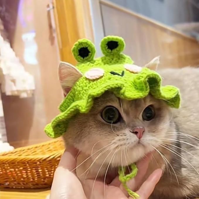 1 PCS Cat Hat Cute Frog Shape Pet Cap Halloween Cat Kitten Halloween Costumes Birthday Hat for Christmas Birthday(M)