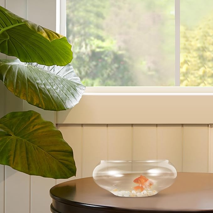 VOSAREA Glass Vase Bowl Glass Fish Bowl Hydroponic Planter Floral Container Clear Bubble Bowl Fish Bowl Aquatic Plant Pot Daffodil Pot for Wedding Event Home Decor (5.89 X5.89X2.36in)