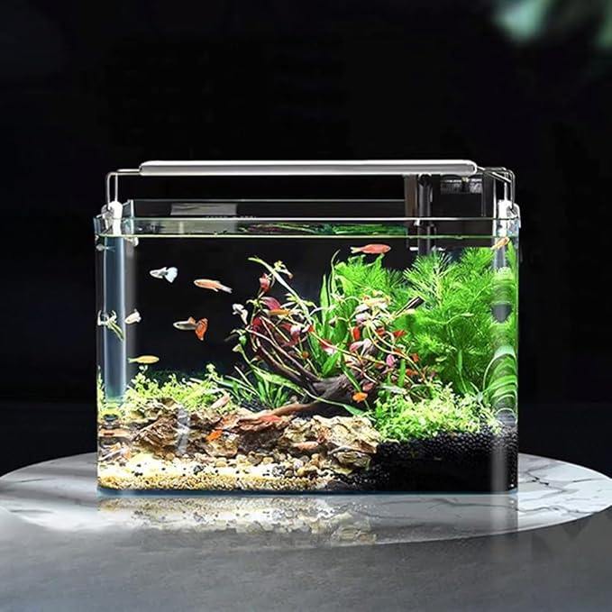 3 Gallon Aquarium Fish Tank, Rimless Aquarium Tank, 11.8" L × 7.9" H × 7.1" W