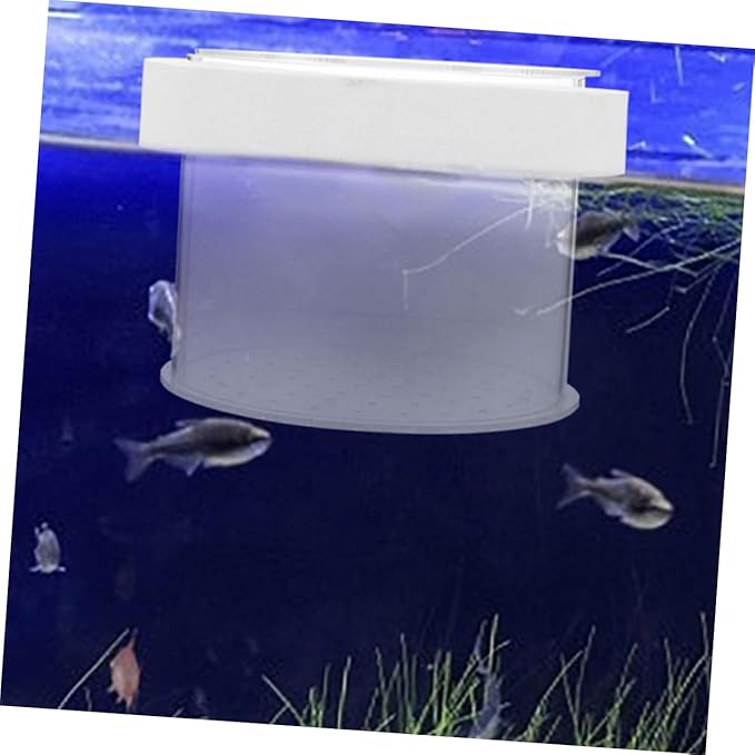 BESPORTBLE Fish Breeding Box Acrylic Isolation Tank for Aquariums Floating Fish Box Transparent Cover Increases Survival Rate and Hatching