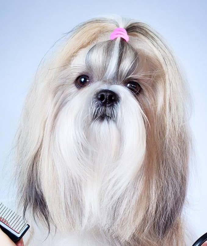 YOY 3/4" Pet Dog Stretchy Rubber Bands, 600/Box - Puppy Elastics Ties Pony Tail Holders Hair Accessories for Doggy Grooming Top Knots Ponytails Braids and Dreadlocks