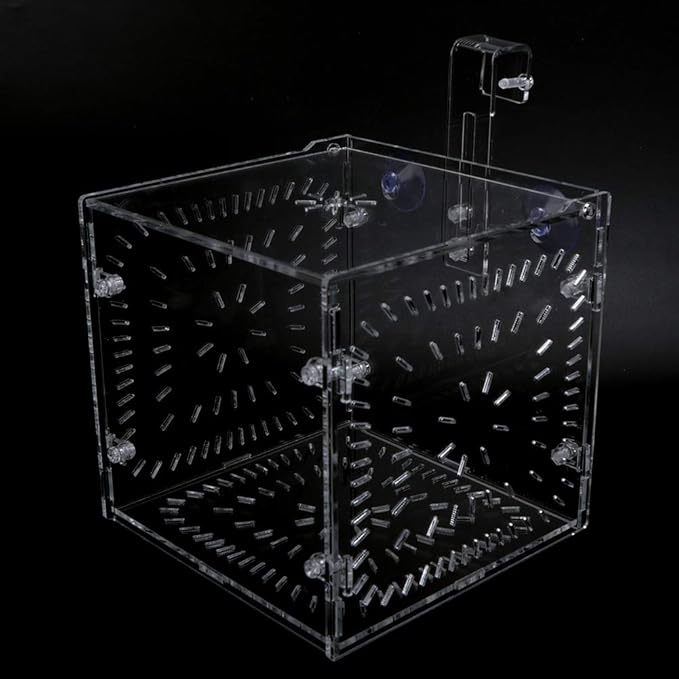 Fish Tank Breeding Box Aquarium Isolation Box Transparent Acrylic Fish Tank Incubation Box for Aggressive Injured Sick Fish Shrimp 15x15x15cm 30x15x15cm 20x20x20cm (15CM*15CM*15CM)