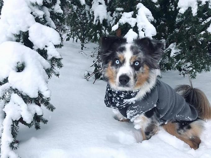 Gooby Stretch Fleece Vest Dog Sweater - Gray, X-Small - Warm Pullover Super Stretchy Fleece Dog Jacket for Small to Large Dogs
