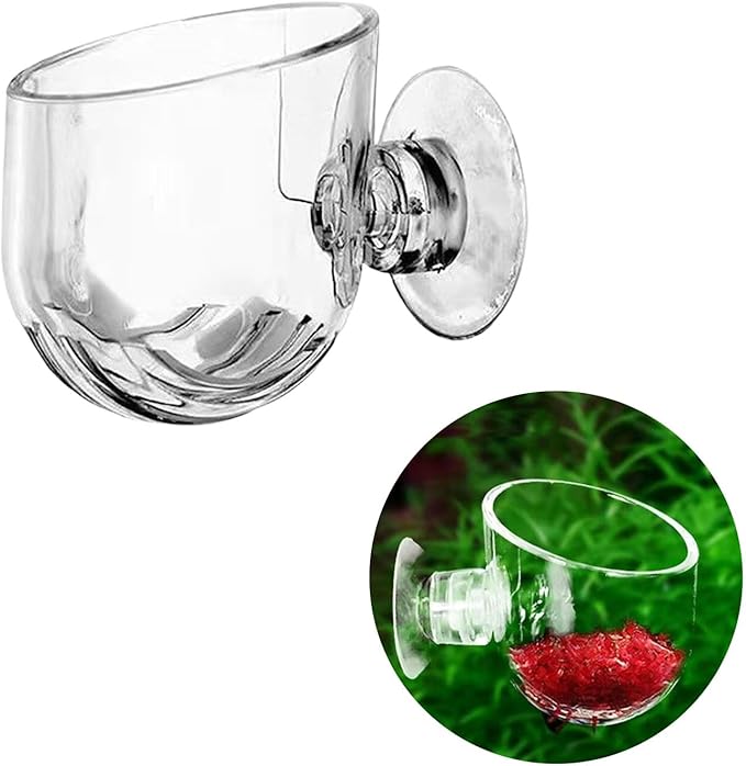 Pack of 10 Aquariums Plant Holder Suction Cup Designs Acrylic Feeding Bowl for Shrimp and Small Fish Feeding