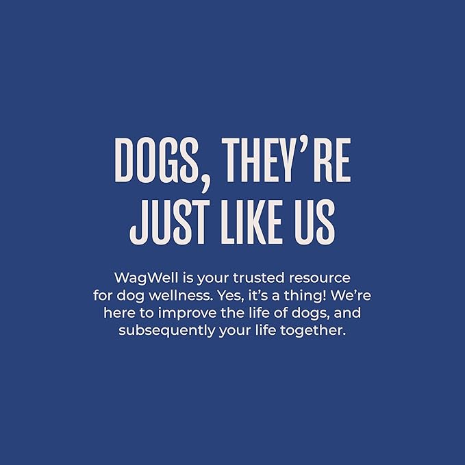 WagWell Freeze-Dried Treats - Beef, Sweet Potato, + Yogurt Recipe - Fully Cooked, High Protein Made in The USA - Minimally Processed & Vet Approved - Pack of 2