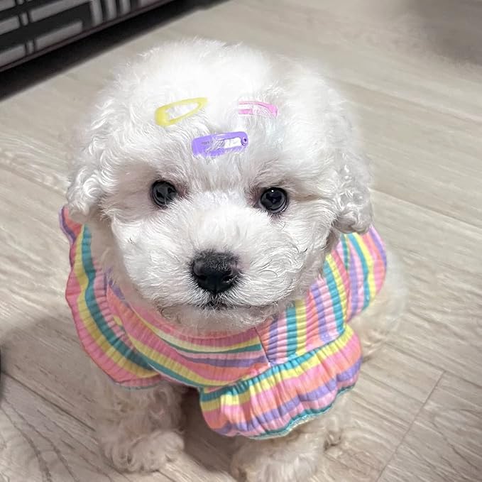 Dog Hair Clips Pet Hairpin Hair Accessories for Dog Cat Puppy Girl, 30 Piece Hair Clips, 100 Rubber Bands, Pet Accessories Storage Box